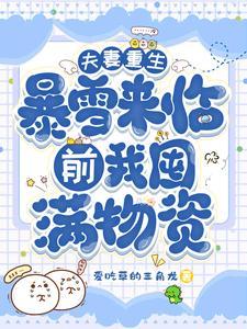 夫妻重生暴雪来临前我囤满物资