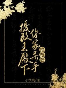 摄政王殿下你家杀手缺根筋