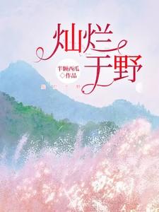 灿烂于野 txt 全