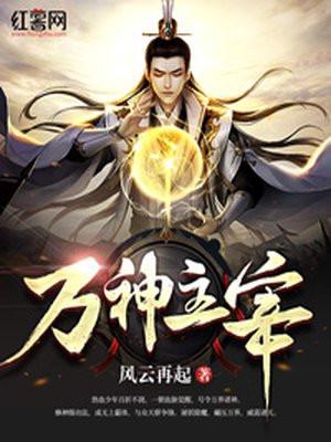 万神主宰叶流云境界