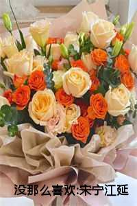 没那么喜欢:宋宁江延