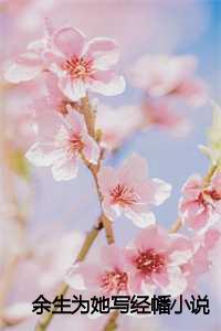 余生为她写经幡小说