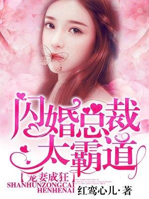 宠妻成狂:闪婚总裁太霸道