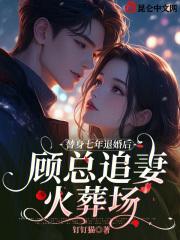 替身七年退婚后,顾总追妻火葬场